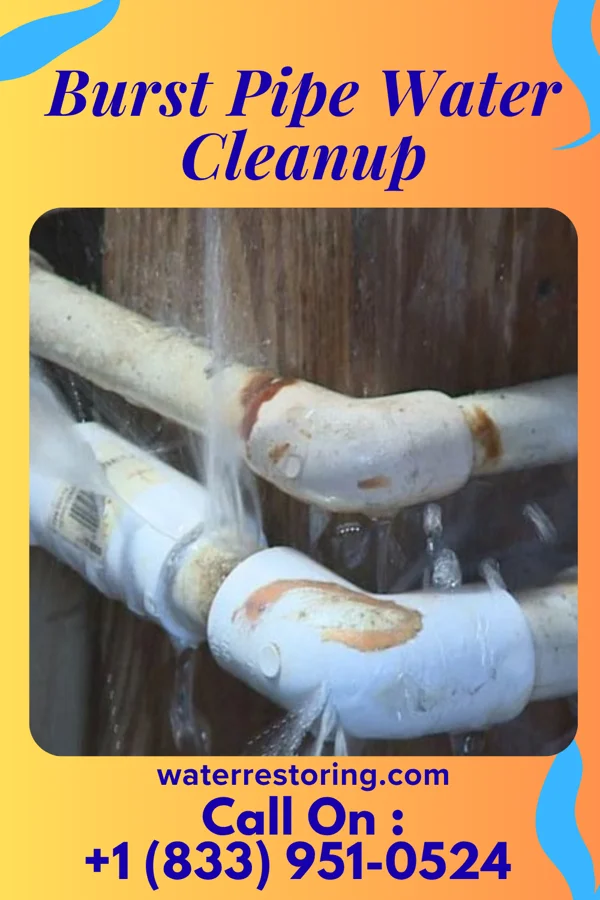 Burst Pipe Water Cleanup in Barberton, WA