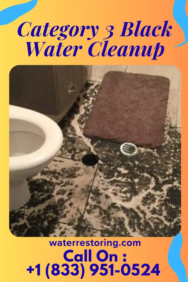 Category 3 Black Water Cleanup in Barberton, WA