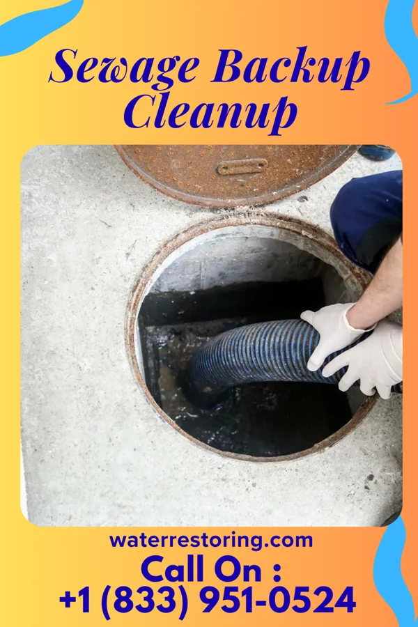 Sewage Backup Cleanup in Barberton, WA